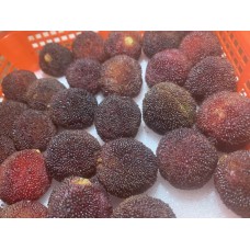 Jagodičnica 500g (pakirano) Jagodičnica 500g (pakirano)