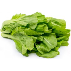 Kai Choi gorčično zelje - WABU