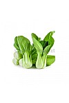 Mini Shanghai Pak Choi - WABU