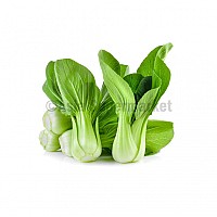 Mini Shanghai Pak Choi - WABU