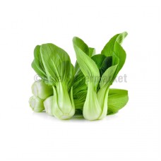 Mini Shanghai Pak Choi - WABU