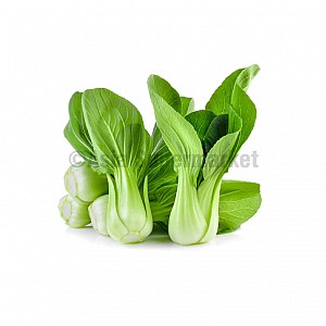 Mini Shanghai Pak Choi - WABU Mini Shanghai Pak Choi - WABU