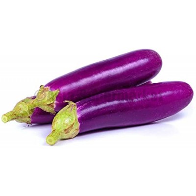 Vijolični jajčevec - NATURINDA