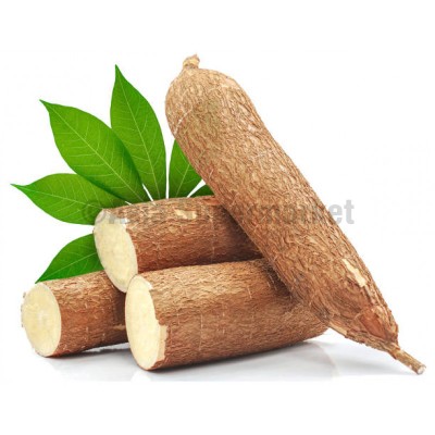 Cassava zelenjava - WABU