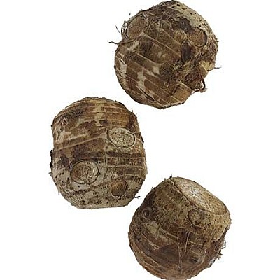 Taro (svež gomolj)