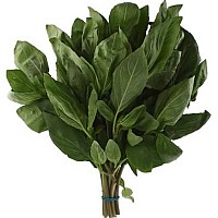 Tajska sladka bazilika sveža (pakirana) 100g - Horapa Tajska sladka bazilika sveža (pakirana) 100g - Horapa